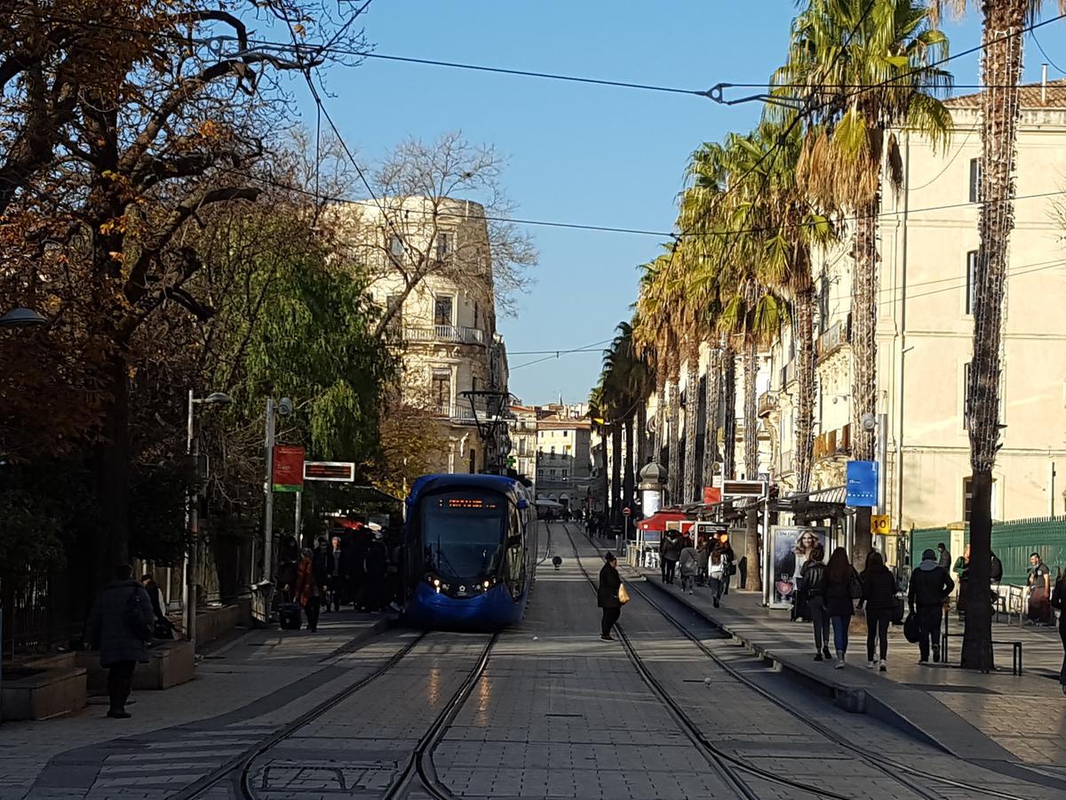 Hotel Saint Roch Montpellier Centre Exterior foto